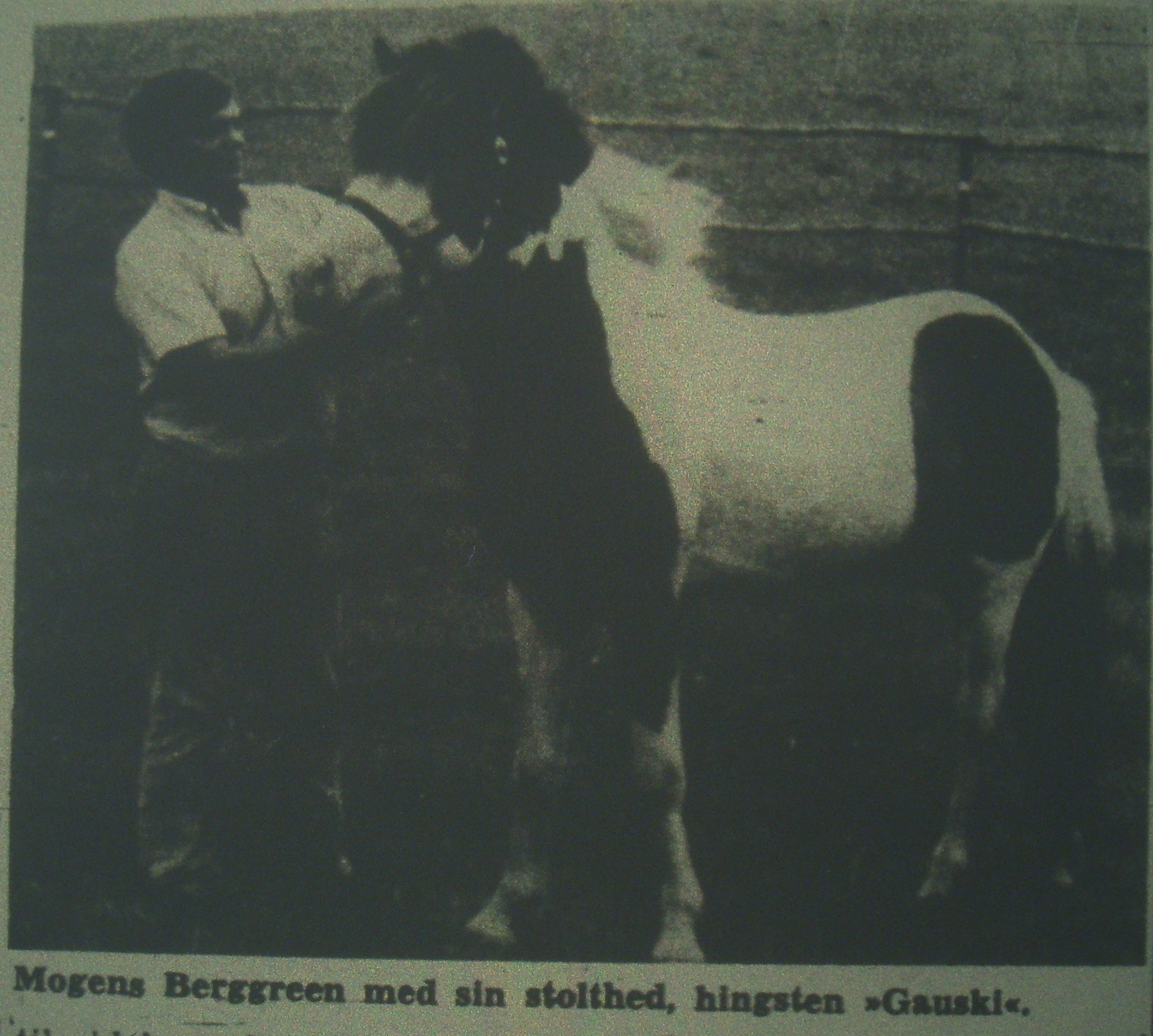 Mogens Berggrens heste 1974